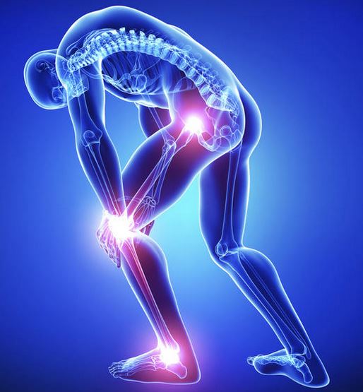 Bone and Joint PainPamela Egan