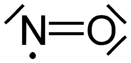 Nitric Oxide 2